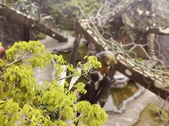 -疯狂屋