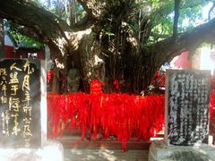 -浮来山风景区