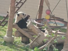 -石家庄市动物园