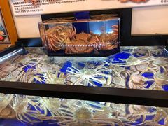 -蟹道乐(道顿堀本店)