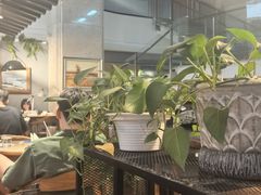 -大书房咖啡(中传国交店)