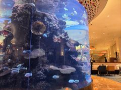 -长隆海洋王国自助餐厅(横琴湾店)