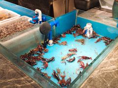 -星伦多 自助料理(圆融店)