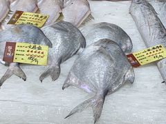 -胖大嫂渔家排档·全海景餐厅(渔村店)