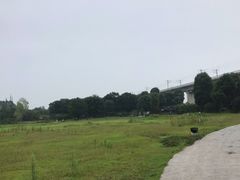-秀丽东方