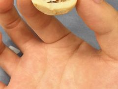 -好利来(宣武门店)