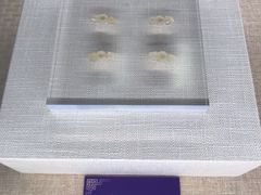 -珠海市博物馆