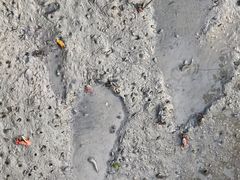 -北海金海湾红树林生态旅游区