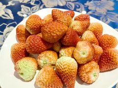 -白鹿苑蒙餐(鄂温克宾馆店)