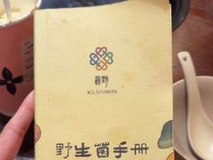 -滇野云南野生菌餐厅(陕西南路店)