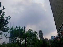 -功德林(南京西路店)
