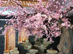 -鸥迪足道(湖南示范店)