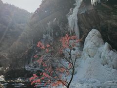 -少华山国家森林公园