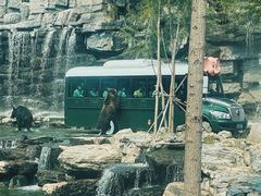 -北京野生动物园