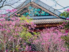 -顺峰山公园