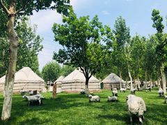 -九十九顶毡房(阜石路店)