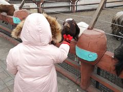 -祥阁食府妈妈菜