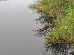 -海南热带雨林国家公园吊罗山景区