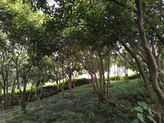 -杭州少年儿童公园