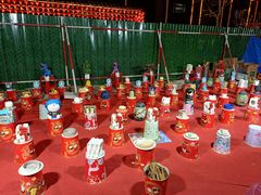 -南宫五洲植物乐园