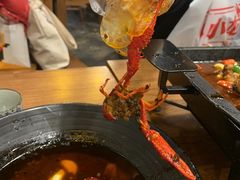 -虾小龙老长沙龙虾馆(坡子街店)