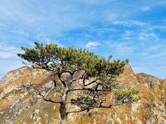 -大连天门山国家森林公园