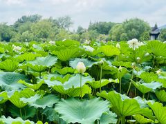 -云龙湖旅游景区