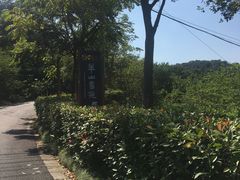 -羊山湖公园