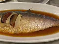 酒蒸鲥鱼-蝶园·装修中(BFC外滩金融中心店)