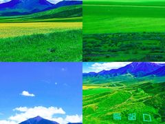 -扁都口生态休闲旅游区