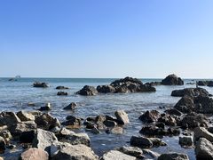 -养马岛旅游度假区