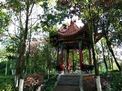 -洛龙公园