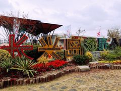 -上海长兴岛郊野公园