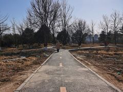 -太阳宫公园