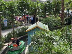 -南宫五洲植物乐园