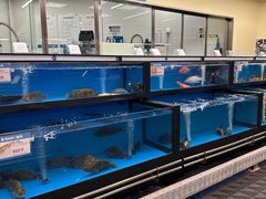 -盒马X会员店(王府井奥莱UP TOWN店)