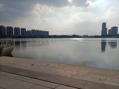 -映月湖中央公园