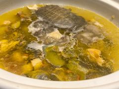 甲鱼汤-长兴楼饭店