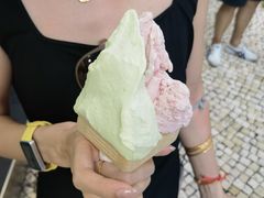 -柠檬车露(卖草地店)