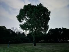 -蜀冈西峰生态公园