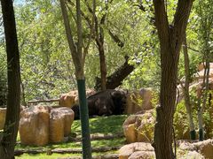 -北京野生动物园