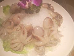 -川西坝子(老军营店)