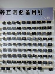 -AI艾耳·专业手工耳洞·穿孔美学馆
