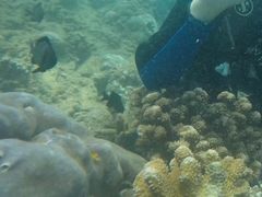 -亚龙湾海底世界