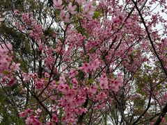 -福建鲤鱼洲酒店