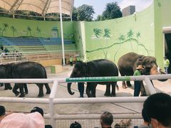 -大连森林动物园