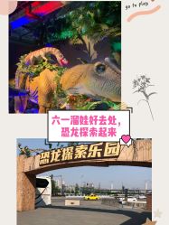 -恐龙探索乐园(磁器口店)
