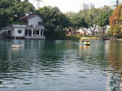 -晓港公园