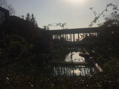 -逸林轩中餐厅(中信泰富朱家角锦江酒店)