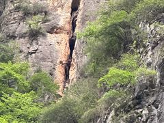 -神农溪纤夫文化旅游区